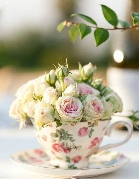 photo;jsessionid=5A5F9DED2CA93033FE5C4CF8AB10E0BB